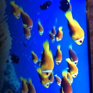 Meet your Posher, Anyssa